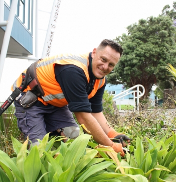 8b_Gardening_Kerikeri_Domain.JPG